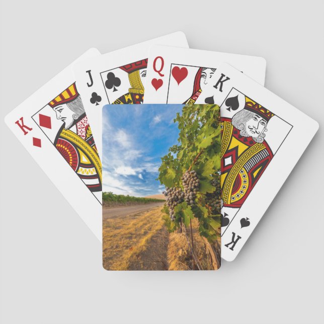 USA, Washington, Yakima Valley. Merlot Grapes Poker Cards (Back)