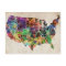 USA Watercolor Map