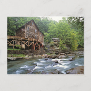 USA, West Virginia, Babcock SP. Rustic Glade Postcard