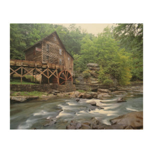 USA, West Virginia, Babcock SP. Rustic Glade Wood Wall Art