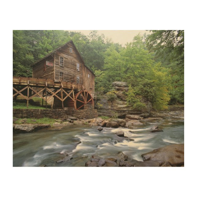 USA, West Virginia, Babcock SP. Rustic Glade Wood Wall Art (Front)