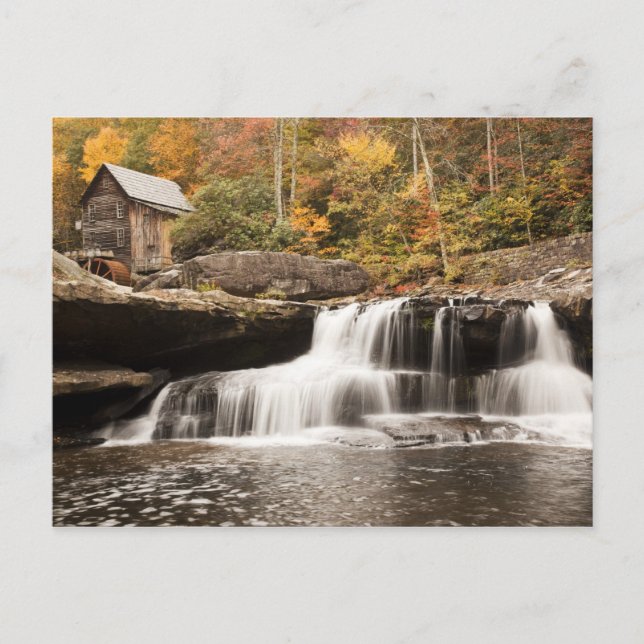 USA, West Virginia, Clifftop. Babcock State Postcard (Front)