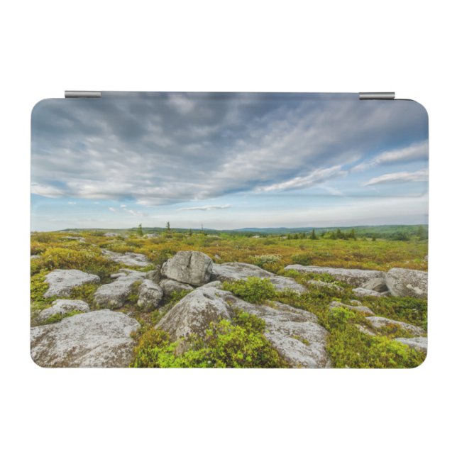 USA, West Virginia, Davis. Landscape In Dolly iPad Mini Cover (Horizontal)