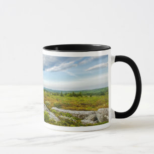 USA, West Virginia, Davis. Landscape In Dolly Mug