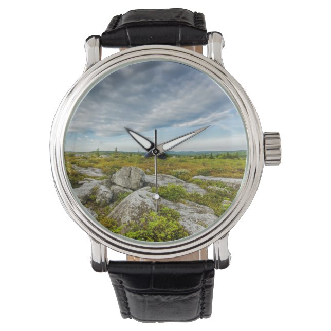 USA, West Virginia, Davis. Landscape In Dolly Watch (Front)