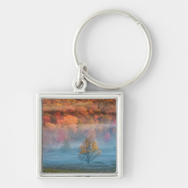 USA, West Virginia, Davis. Misty valley and Keychain (Front)
