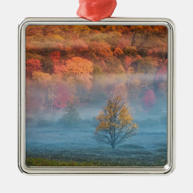 USA, West Virginia, Davis. Misty valley and Metal Ornament (Front)