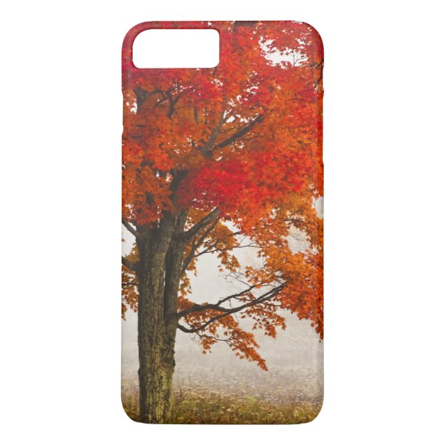 USA, West Virginia, Davis. Red maple in autumn Case-Mate iPhone Case (Back)