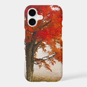 USA, West Virginia, Davis. Red maple in autumn iPhone 17 Case