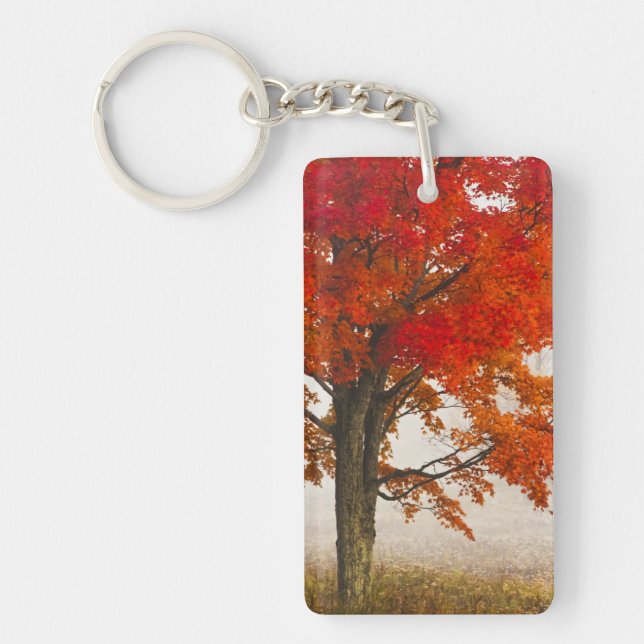 USA, West Virginia, Davis. Red maple in autumn Keychain (Front)