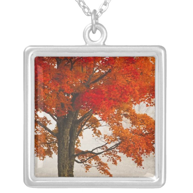 USA, West Virginia, Davis. Red maple in autumn Silver Plated Necklace (Front)