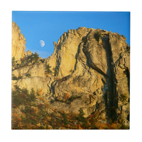 USA West Virginia Spruce Knob_Seneca Rocks 2 Ceramic Tile