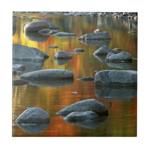 USA West Virginia Spruce Knob_Seneca Rocks 3 Tile