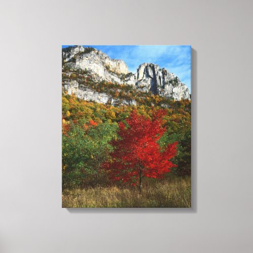 USA West Virginia Spruce Knob_Seneca Rocks Canvas Print