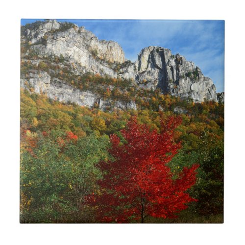 USA West Virginia Spruce Knob_Seneca Rocks Ceramic Tile