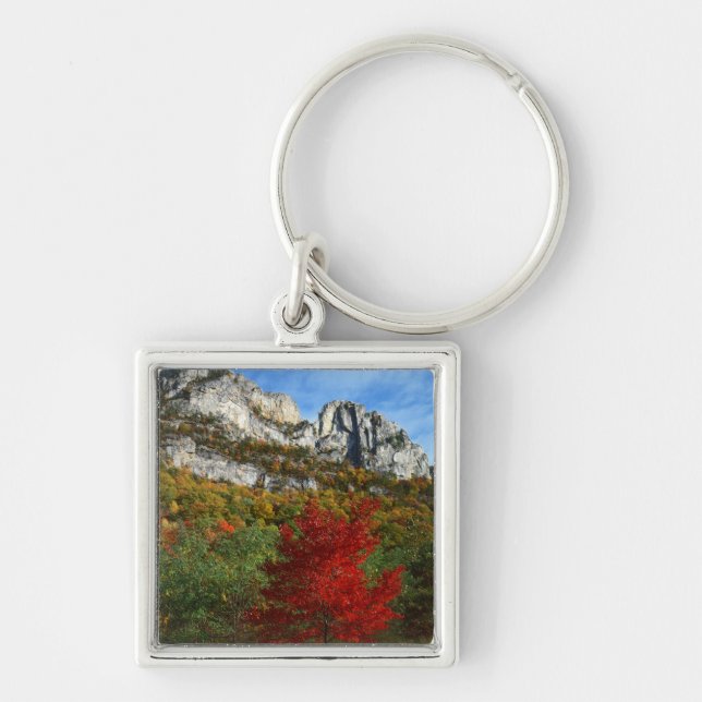 USA, West Virginia, Spruce Knob-Seneca Rocks Keychain (Front)