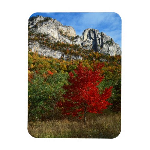 USA West Virginia Spruce Knob_Seneca Rocks Magnet