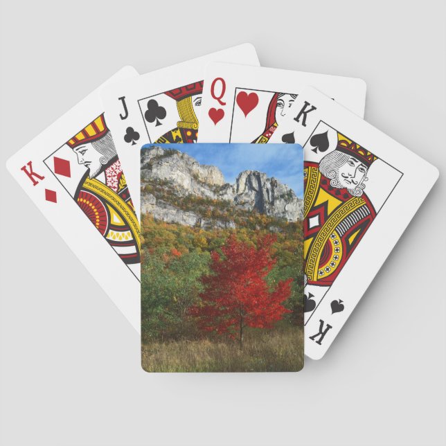 USA, West Virginia, Spruce Knob-Seneca Rocks Poker Cards (Back)