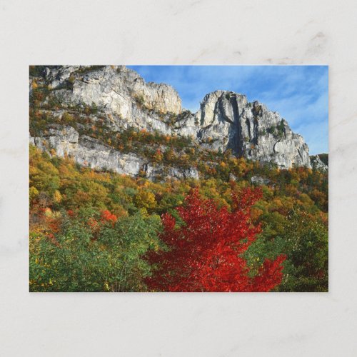 USA West Virginia Spruce Knob_Seneca Rocks Postcard