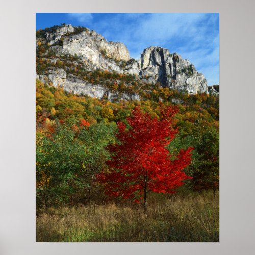 USA West Virginia Spruce Knob_Seneca Rocks Poster