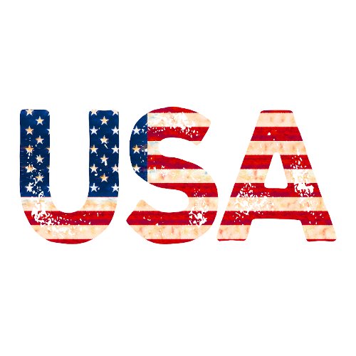 USA with US Flag T_Shirt