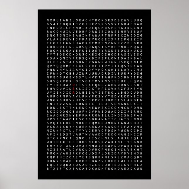 USA word search Poster (Front)
