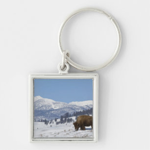 USA, WY, Yellowstone NP, American Bison Bison Keychain
