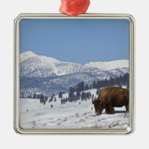USA, WY, Yellowstone NP, American Bison Bison Metal Ornament