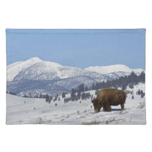 USA, WY, Yellowstone NP, American Bison Bison Placemat
