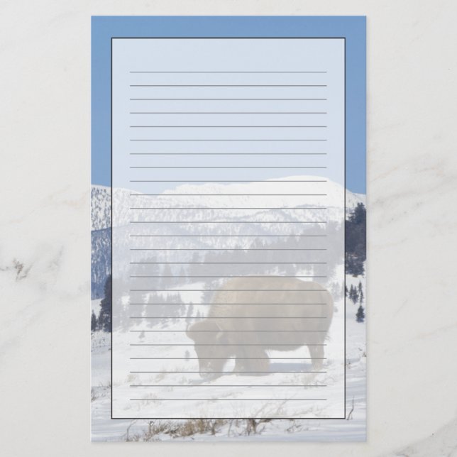 USA, WY, Yellowstone NP, American Bison Bison Stationery (Front)