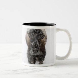 USA, WY, Yellowstone NP, American Bison (Bison Two-Tone Coffee Mug