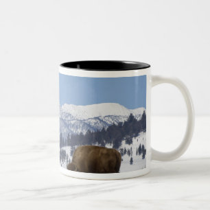 USA, WY, Yellowstone NP, American Bison Bison Two-Tone Coffee Mug