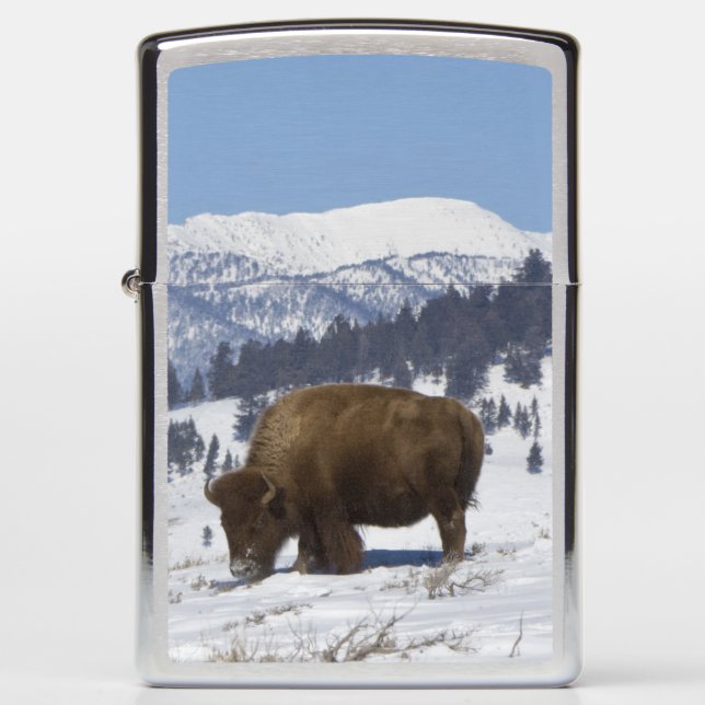 USA, WY, Yellowstone NP, American Bison Bison Zippo Lighter (Front)