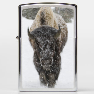 USA, WY, Yellowstone NP, American Bison (Bison Zippo Lighter