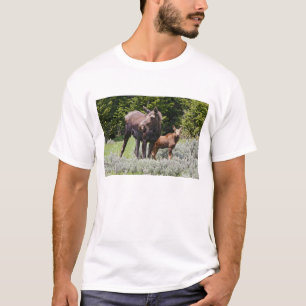 USA, Wyoming, Bighorn Mountains, moose Alces T-Shirt