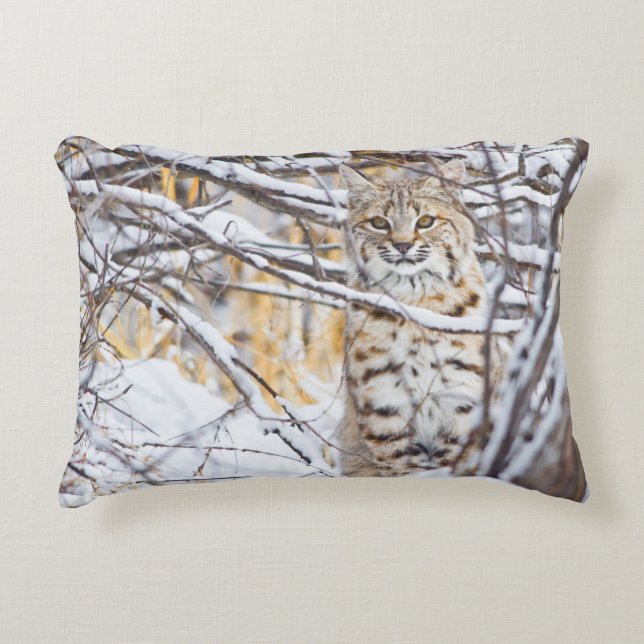 USA, Wyoming, Bobcat Accent Pillow (Front)