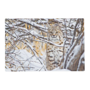 USA, Wyoming, Bobcat Placemat