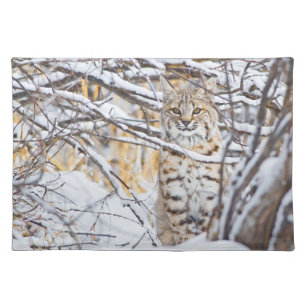 USA, Wyoming, Bobcat Placemat