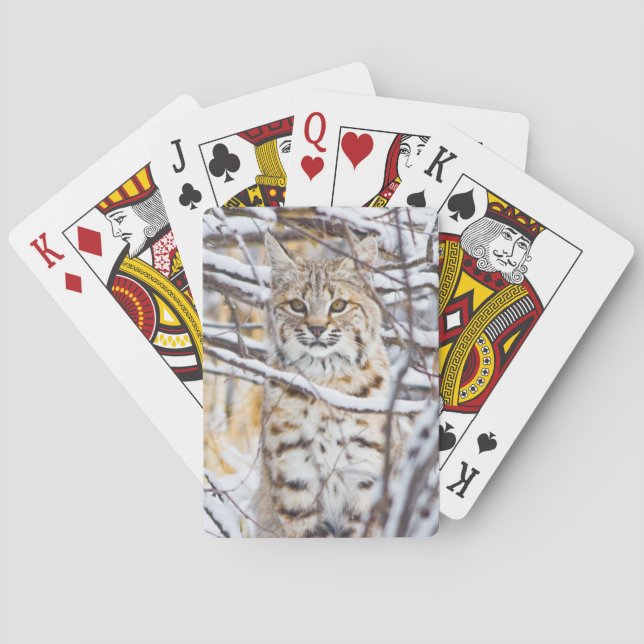 USA, Wyoming, Bobcat Poker Cards (Back)