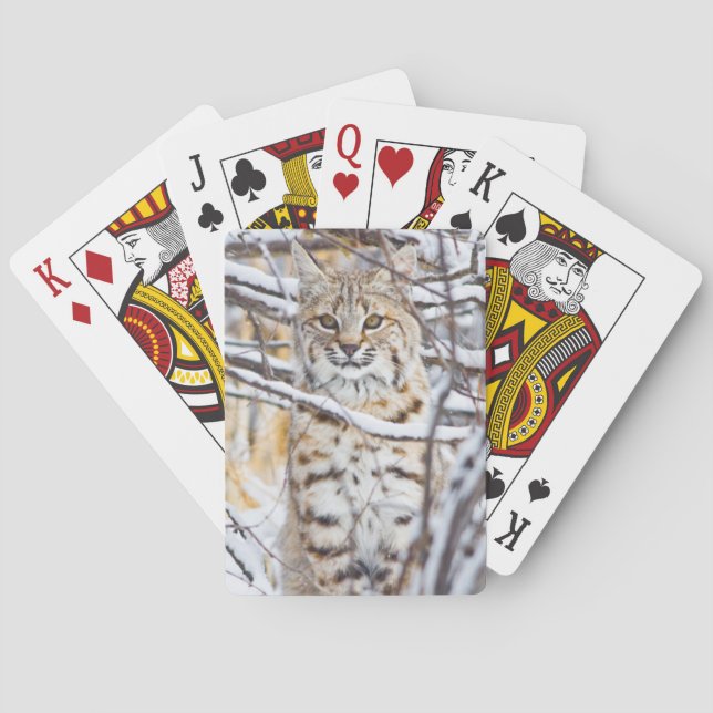 USA, Wyoming, Bobcat Poker Cards (Back)