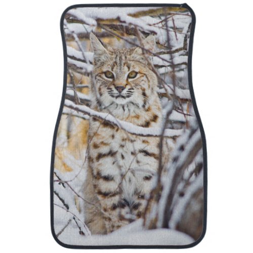 USA Wyoming Bobcat sitting in snow_covered Car Mat