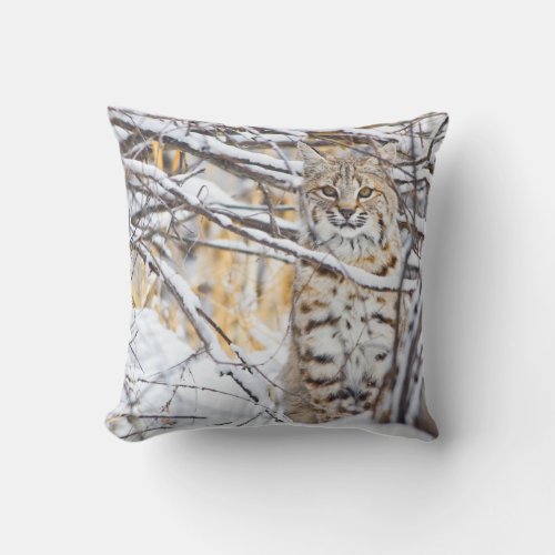 USA Wyoming Bobcat sitting in snow_covered Throw Pillow