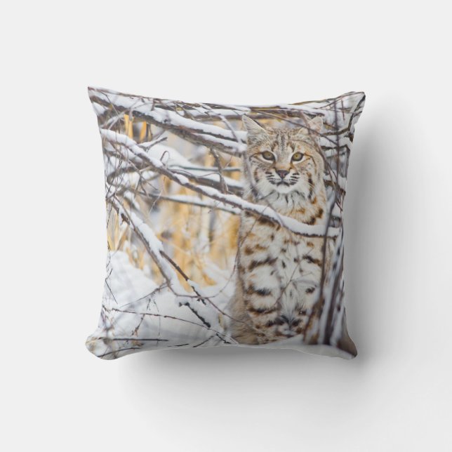 USA, Wyoming, Bobcat Throw Pillow (Front)