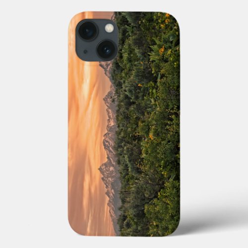 USA Wyoming Grand Teton National Park 1 iPhone 13 Case