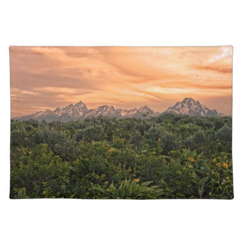 USA Wyoming Grand Teton National Park 1 Placemat