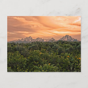 USA, Wyoming, Grand Teton National Park 1 Postcard
