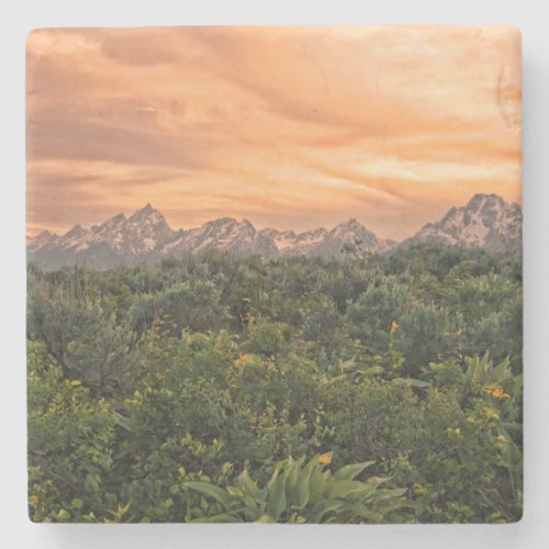 USA Wyoming Grand Teton National Park 1 Stone Coaster