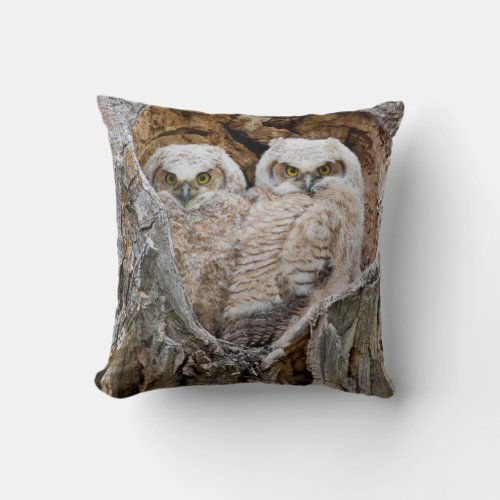 USA Wyoming Grand Teton National Park 2 Throw Pillow