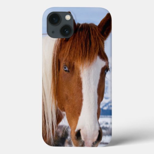 USA Wyoming Grand Teton National Park 3 iPhone 13 Case