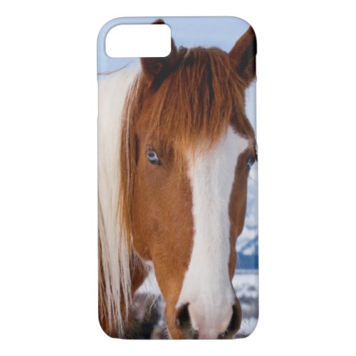 USA Wyoming Grand Teton National Park 3 iPhone 87 Case